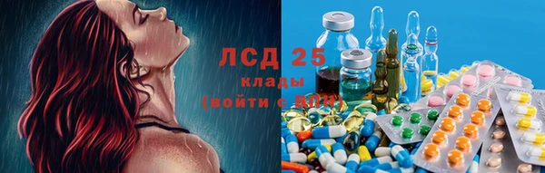 MESCALINE Бородино