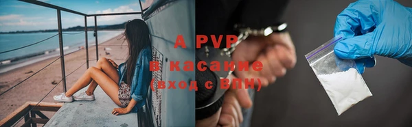 стафф Бронницы