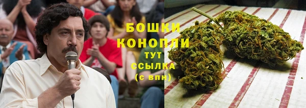 MESCALINE Бородино
