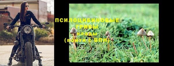стафф Бронницы