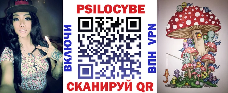 Купить где  Кохма  Псилоцибиновые грибы Psilocybe 