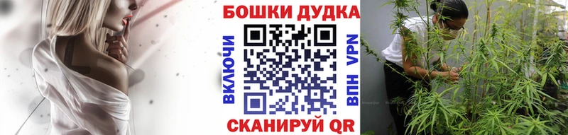 Купить закладки  Кохма  Бошки Шишки OG Kush 